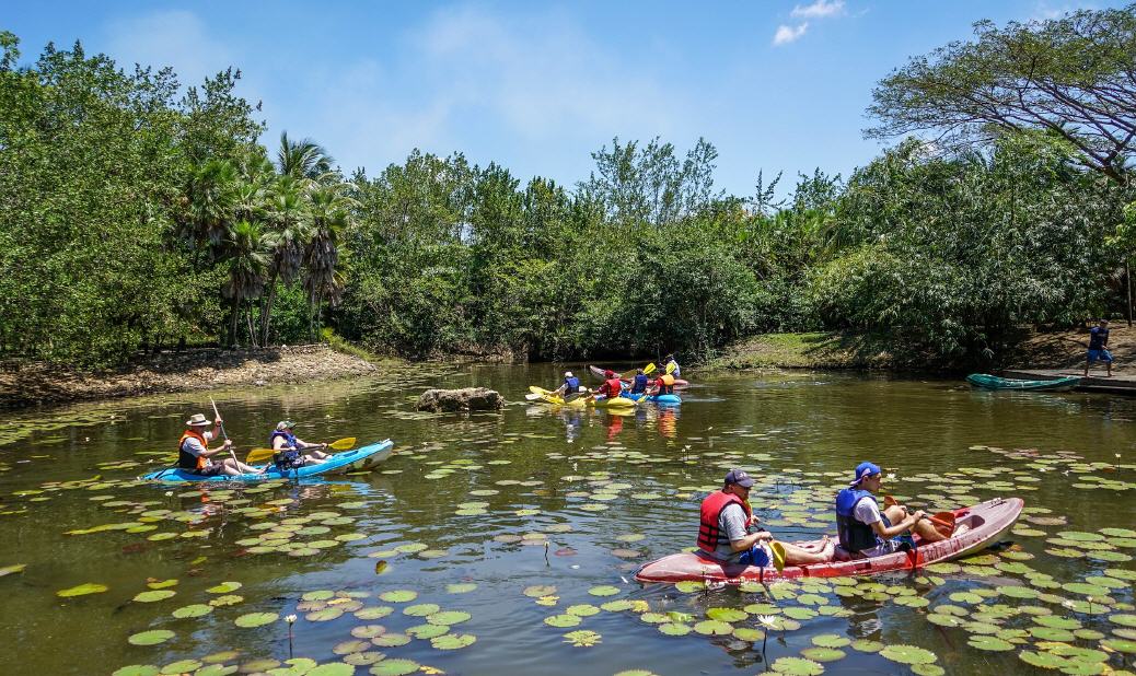 Dschungel per Kayak erkunden