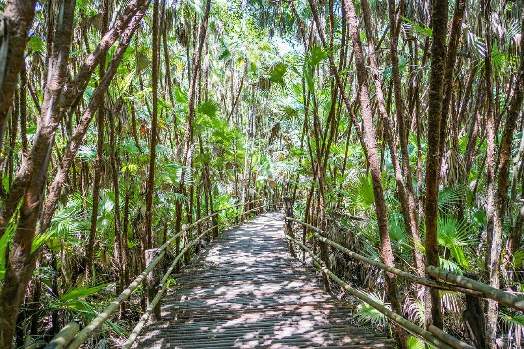Walkway im Bacab Jungle Park