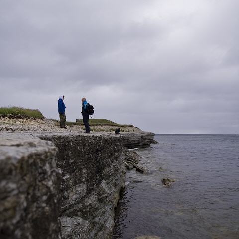Entlang Estlands Küste: Wandern mit Meerblick