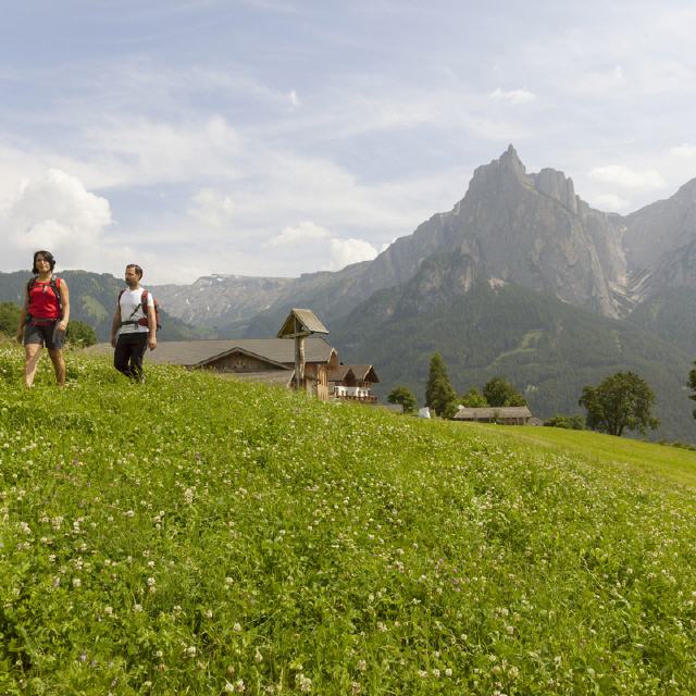 Südtirol: Mit der Bäuerin auf Wanderschaft