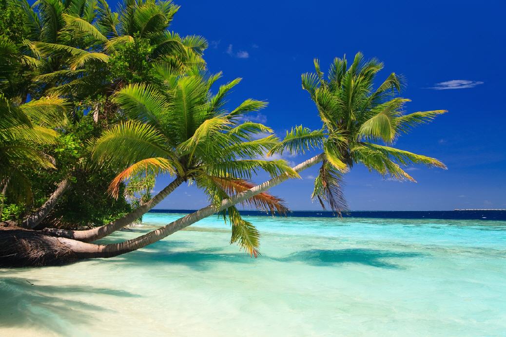 Tropenparadies Malediven